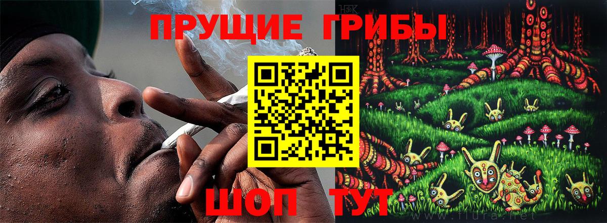 Галлюциногенные грибы мухоморы  Псилоцибиновые грибы мицелий  Вход с VPN  Карачаевск 